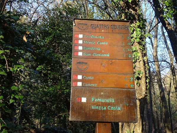 Mezza costa sul sentiero raccordo 891-893 da Porcile a Roccolo