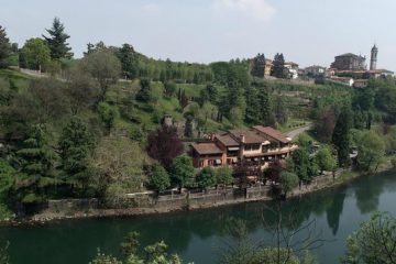 il vigneto