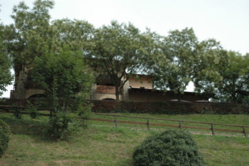 ilVitigno